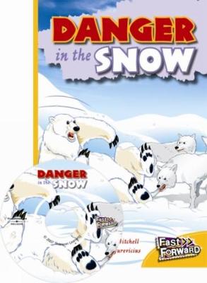 Book cover for Danger in the Snow