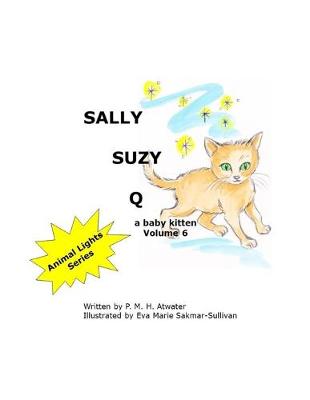 Book cover for Sally Suzy Q