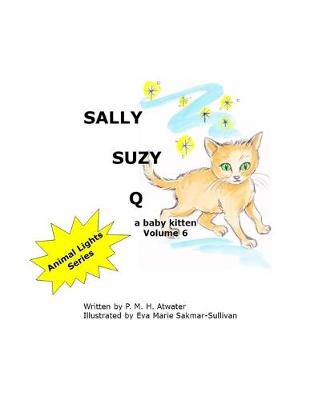 Cover of Sally Suzy Q