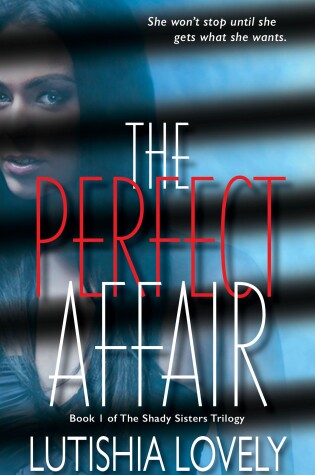 Cover of The Perfect Affair