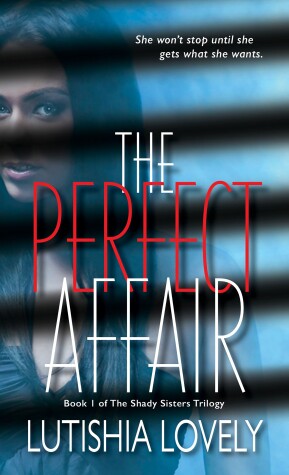 Book cover for The Perfect Affair