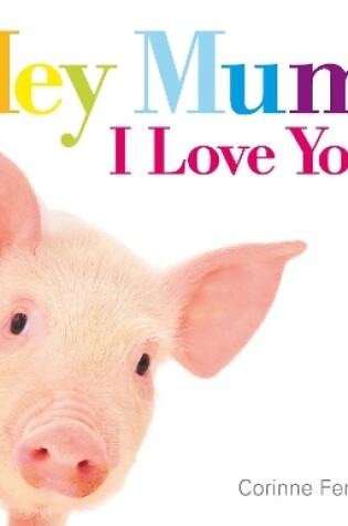 Cover of Hey Mum, I Love You