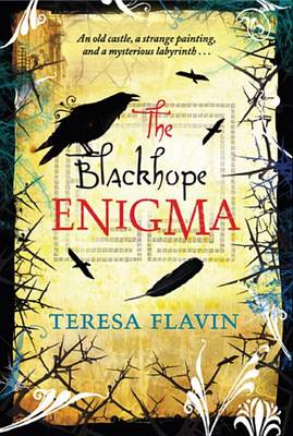 Book cover for The Blackhope Enigma