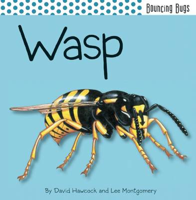 Book cover for Wasp