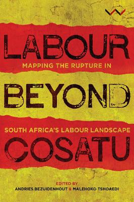 Book cover for Labour Beyond Cosatu