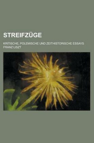 Cover of Streifzuge; Kritische, Polemische Und Zeithistorische Essays