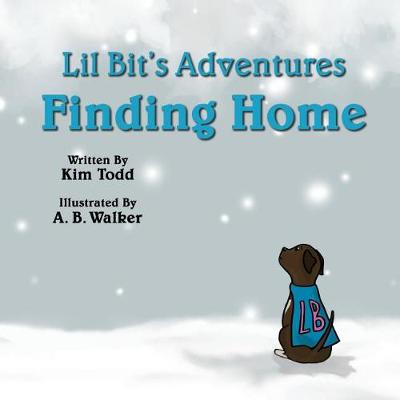 Book cover for Finding Home