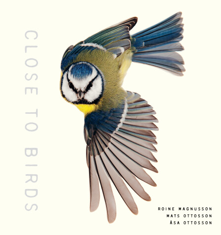 Book cover for Close to Birds