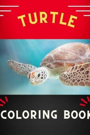 Cover of Turtle coloring book