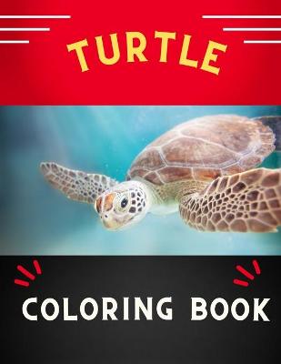 Book cover for Turtle coloring book