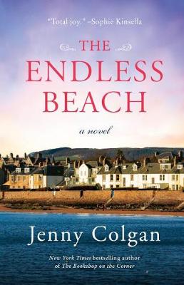 Book cover for The Endless Beach