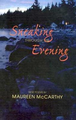 Book cover for Sneaking Through the Evening