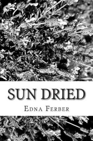 Cover of Sun Dried
