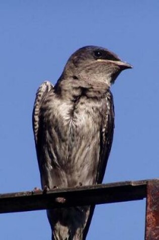 Cover of Purple Martin (Progne Subis) Bird Journal