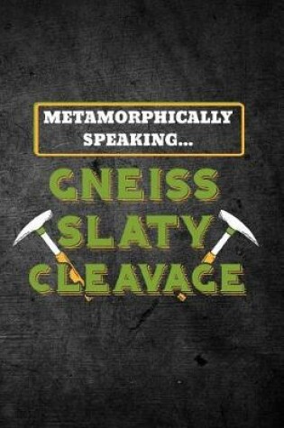 Cover of Metamorphically Speaking Gneiss Slaty Cleavage
