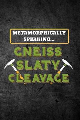 Book cover for Metamorphically Speaking Gneiss Slaty Cleavage