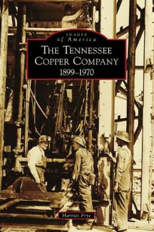 Cover of The Tennessee Copper Company