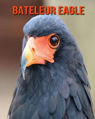 Book cover for Bateleur Eagle