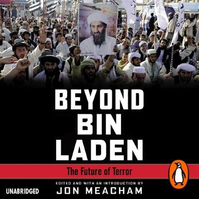 Book cover for Beyond Bin Laden