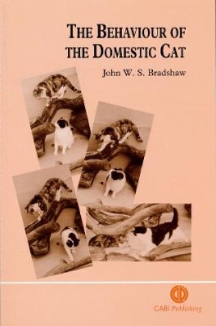 Cover of The Behaviour of the Domestic Cat
