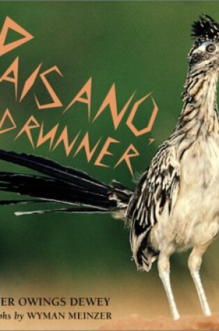 Cover of Paisano, the Roadrunner