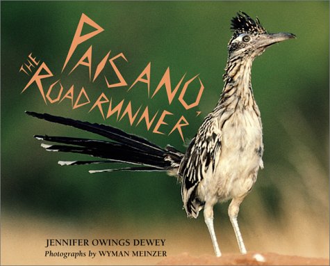 Book cover for Paisano, the Roadrunner