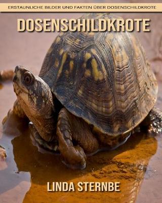 Book cover for Dosenschildkroete