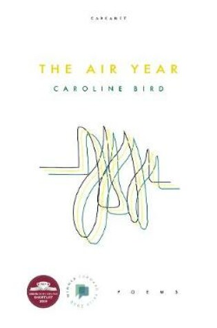 Cover of The Air Year