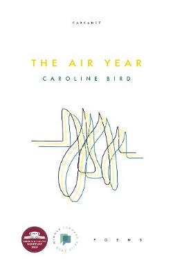 Book cover for The Air Year