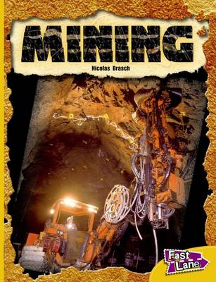 Book cover for Mining Fast Lane Gold Non-Fiction