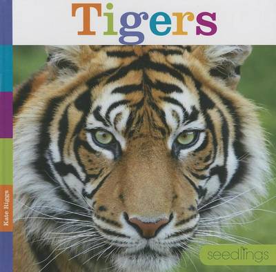 Cover of Tigers