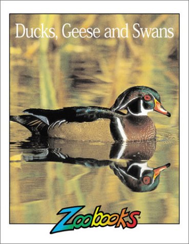 Book cover for Ducks, Geese & Swans