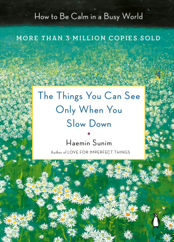 Book cover for The Things You Can See Only When You Slow Down