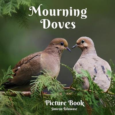 Book cover for Mourning Doves Picture Book