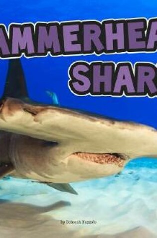 Cover of Hammerhead Sharks