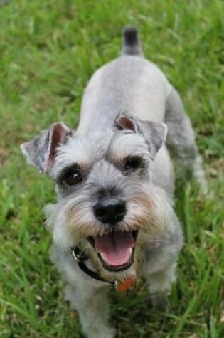 Cover of Cute Little Miniature Schnauzer Dog in the Grass Journal