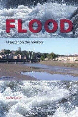 Cover of Flood