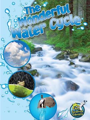 Book cover for Wonderful Water Cycle