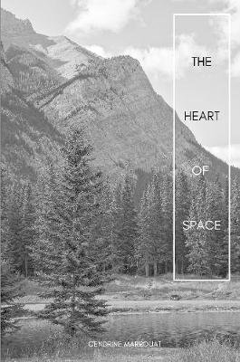 Book cover for The Heart of Space