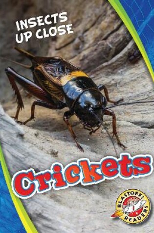 Cover of Crickets