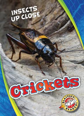 Cover of Crickets