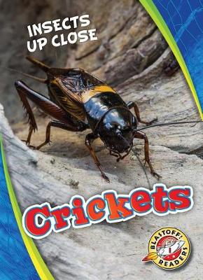 Cover of Crickets