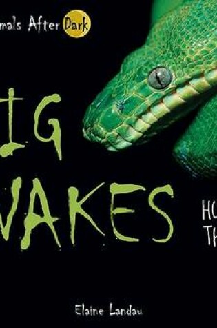 Cover of Big Snakes