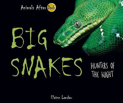 Book cover for Big Snakes