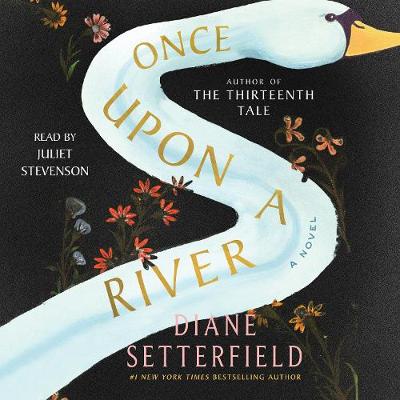 Book cover for Once Upon a River