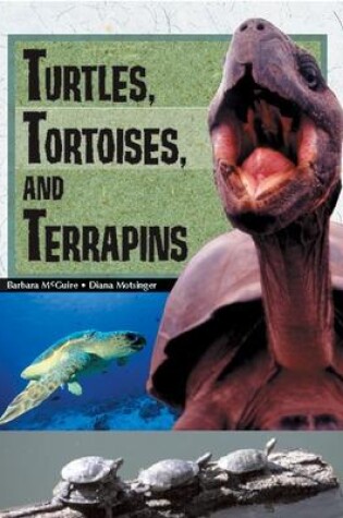 Cover of Turtles, Tortoises and Terrapins