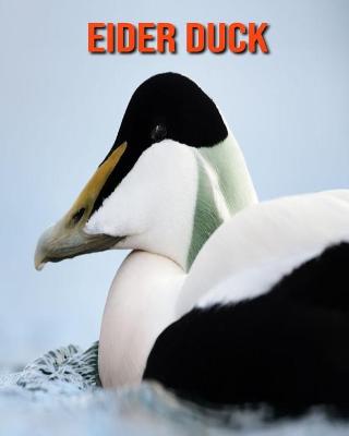 Book cover for Eider Duck