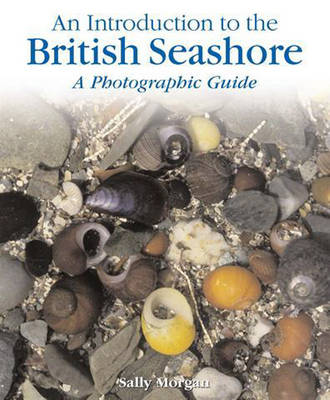Book cover for An Introduction to: The British Seashore