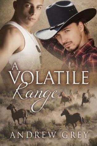 Cover of A Volatile Range Volume 6