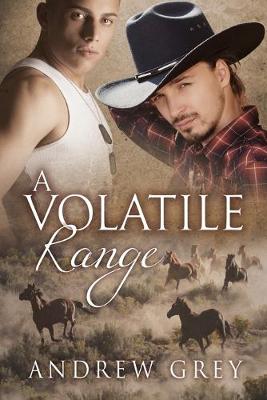 Book cover for A Volatile Range Volume 6